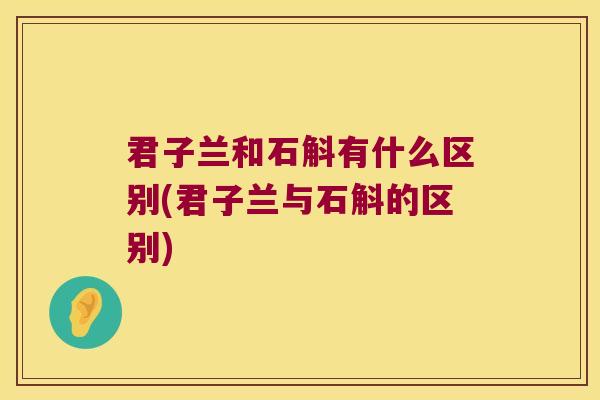 君子兰和石斛有什么区别(君子兰与石斛的区别)