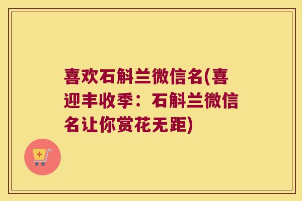 喜欢石斛兰微信名(喜迎丰收季：石斛兰微信名让你赏花无距)