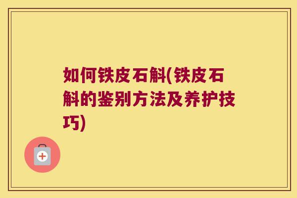 如何铁皮石斛(铁皮石斛的鉴别方法及养护技巧) 如何铁皮石斛(铁皮石斛的鉴别方法及养护技巧)