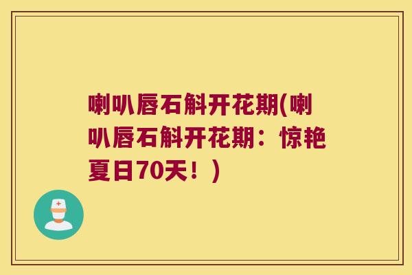 喇叭唇石斛开花期(喇叭唇石斛开花期：惊艳夏日70天！)