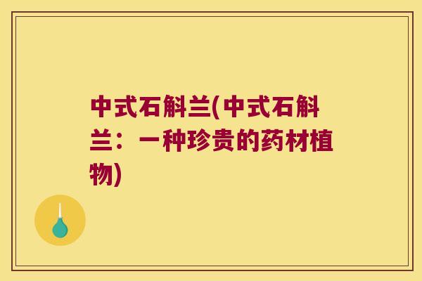 中式石斛兰(中式石斛兰：一种珍贵的药材植物)