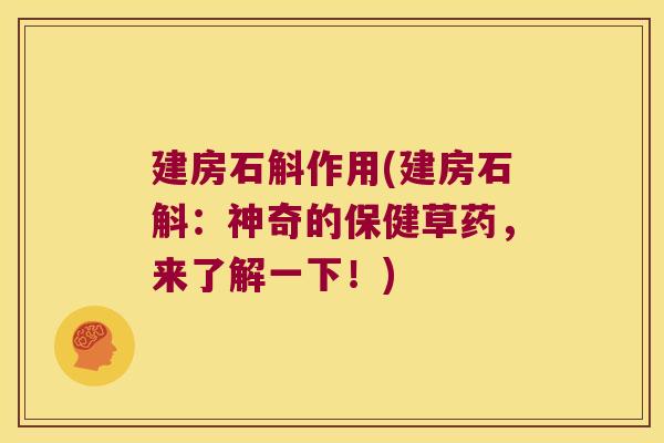 建房石斛作用(建房石斛：神奇的保健草药，来了解一下！)