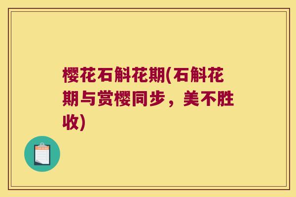 樱花石斛花期(石斛花期与赏樱同步，美不胜收)