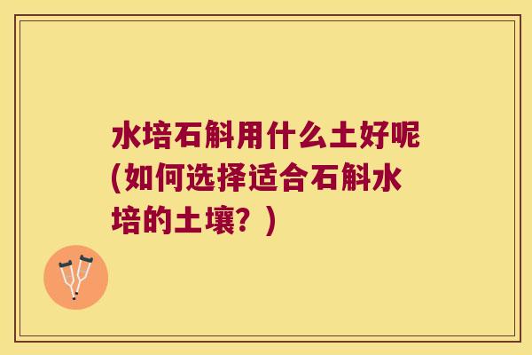 水培石斛用什么土好呢(如何选择适合石斛水培的土壤?) 水培石斛用什么土好呢(如何选择适合石斛水培的土壤?)