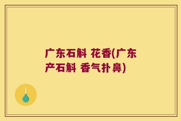 广东石斛 花香(广东产石斛 香气扑鼻)