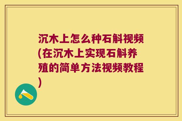 沉木上怎么种石斛视频(在沉木上实现石斛养殖的简单方法视频教程)