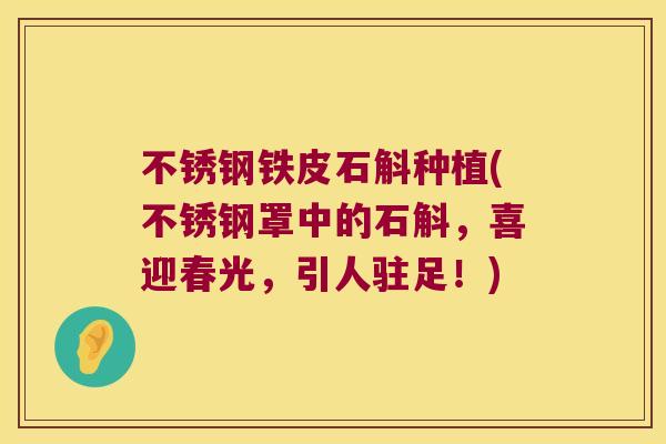 不锈钢铁皮石斛种植(不锈钢罩中的石斛，喜迎春光，引人驻足！)