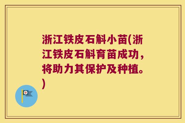 浙江铁皮石斛小苗(浙江铁皮石斛育苗成功，将助力其保护及种植。)