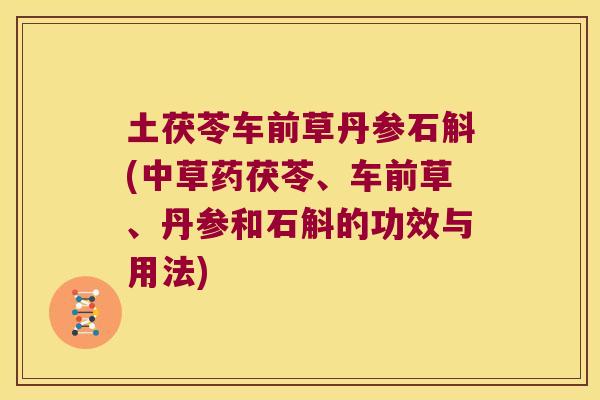 土茯苓车前草丹参石斛(中草药茯苓、车前草、丹参和石斛的功效与用法) 土茯苓车前草丹参石斛(中草药茯苓、车前草、丹参和石斛的功效与用法)