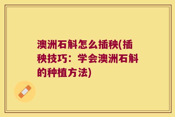 澳洲石斛怎么插秧(插秧技巧:学会澳洲石斛的种植方法) 澳洲石斛怎么插秧(插秧技巧:学会澳洲石斛的种植方法)