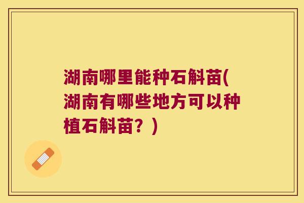 湖南哪里能种石斛苗(湖南有哪些地方可以种植石斛苗？)
