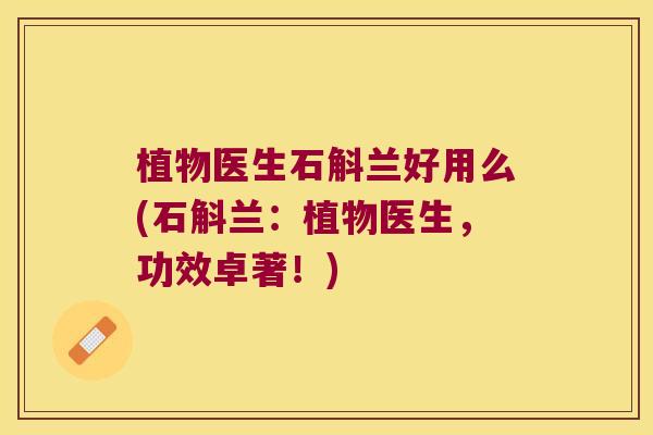 植物医生石斛兰好用么(石斛兰：植物医生，功效卓著！)