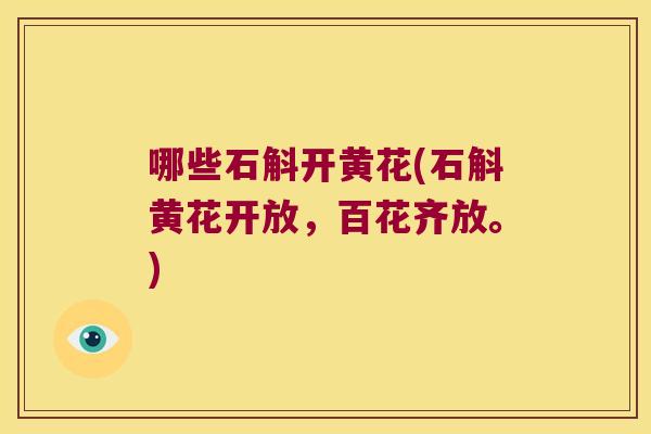 哪些石斛开黄花(石斛黄花开放，百花齐放。)