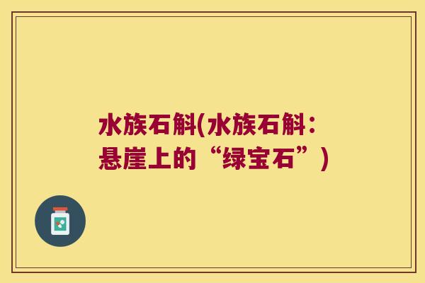 水族石斛(水族石斛：悬崖上的“绿宝石”)