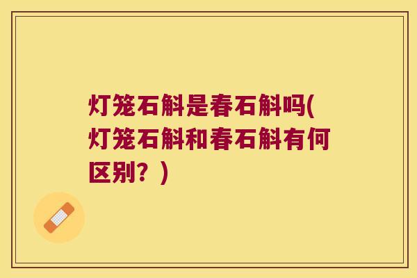 灯笼石斛是春石斛吗(灯笼石斛和春石斛有何区别？)