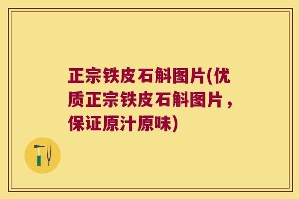 正宗铁皮石斛图片(优质正宗铁皮石斛图片，保证原汁原味)