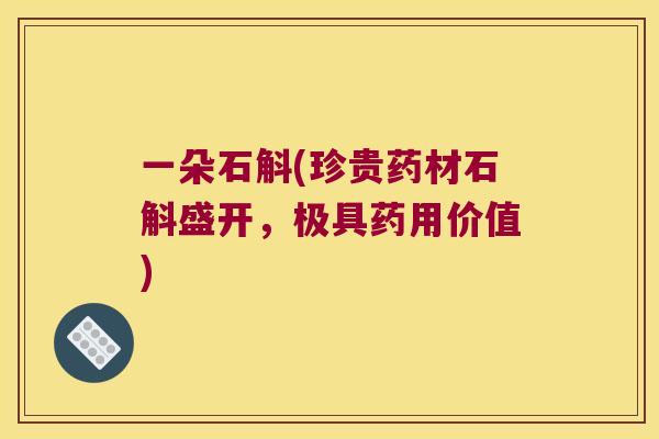 一朵石斛(珍贵药材石斛盛开，极具药用价值)
