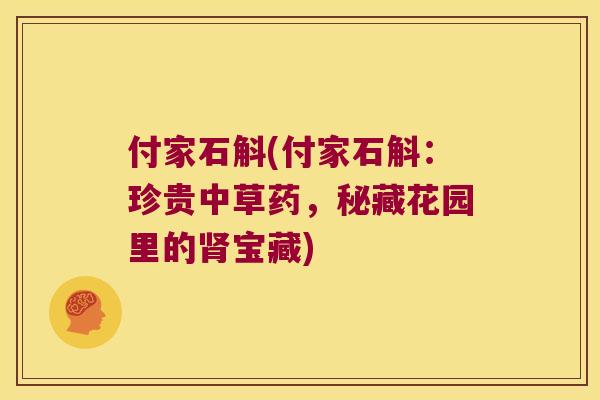 付家石斛(付家石斛：珍贵中草药，秘藏花园里的肾宝藏)