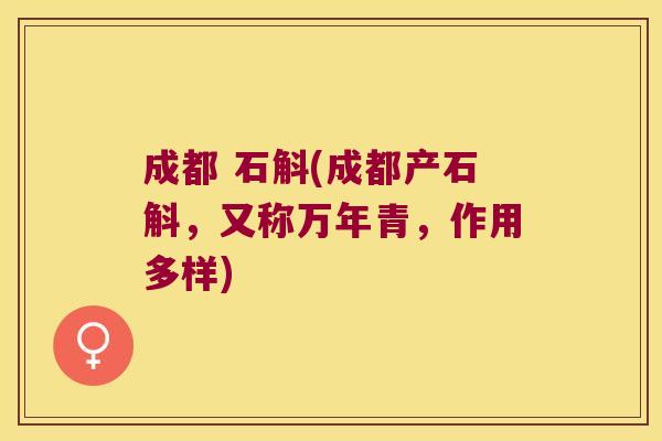 成都 石斛(成都产石斛，又称万年青，作用多样)