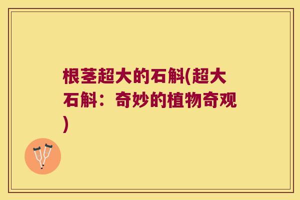 根茎超大的石斛(超大石斛：奇妙的植物奇观)