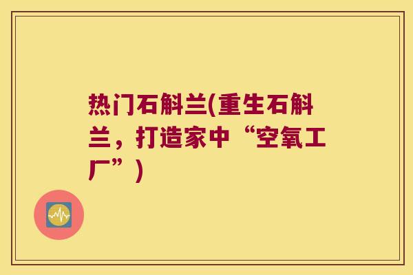 热门石斛兰(重生石斛兰，打造家中“空氧工厂”)
