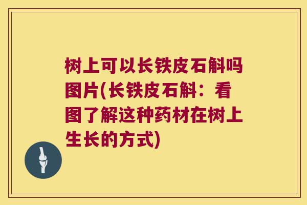 树上可以长铁皮石斛吗图片(长铁皮石斛：看图了解这种药材在树上生长的方式)