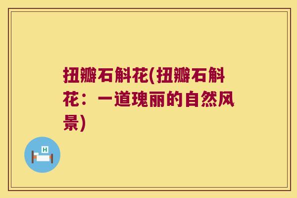 扭瓣石斛花(扭瓣石斛花：一道瑰丽的自然风景)