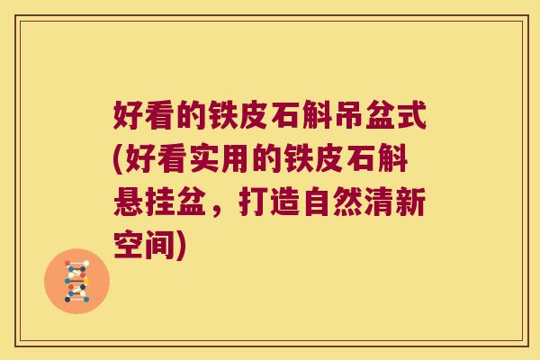 好看的铁皮石斛吊盆式(好看实用的铁皮石斛悬挂盆，打造自然清新空间)