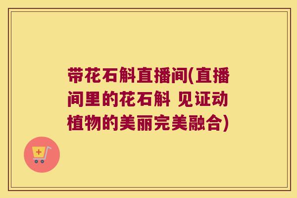 带花石斛直播间(直播间里的花石斛 见证动植物的美丽完美融合)
