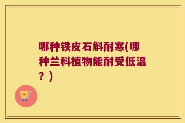 哪种铁皮石斛耐寒(哪种兰科植物能耐受低温？)