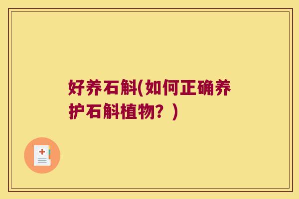 好养石斛(如何正确养护石斛植物？)