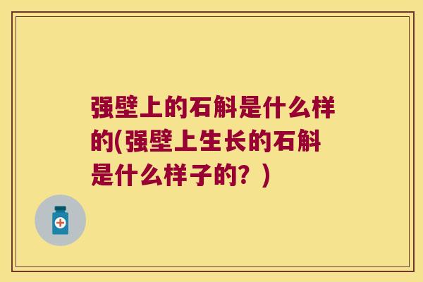 强壁上的石斛是什么样的(强壁上生长的石斛是什么样子的？)
