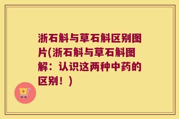 浙石斛与草石斛区别图片(浙石斛与草石斛图解：认识这两种中药的区别！)