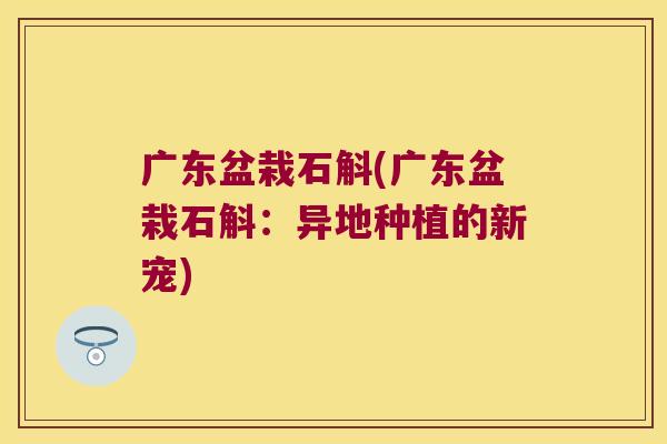 广东盆栽石斛(广东盆栽石斛：异地种植的新宠)