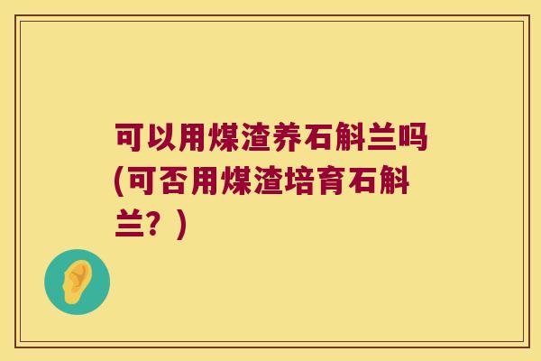 可以用煤渣养石斛兰吗(可否用煤渣培育石斛兰？)
