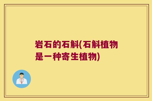 岩石的石斛(石斛植物是一种寄生植物)