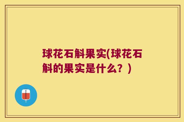 球花石斛果实(球花石斛的果实是什么？)