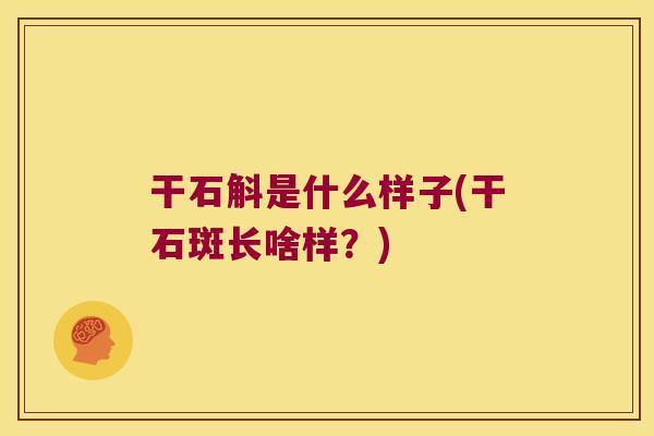 干石斛是什么样子(干石斑长啥样？)
