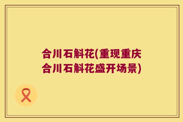 合川石斛花(重现重庆合川石斛花盛开场景)