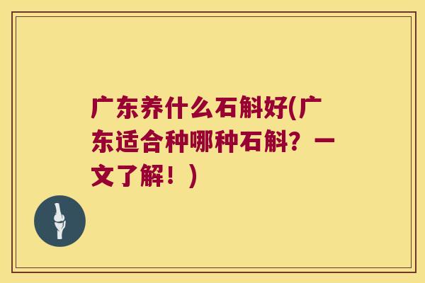 广东养什么石斛好(广东适合种哪种石斛？一文了解！)