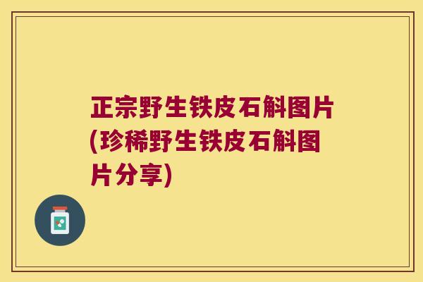 正宗野生铁皮石斛图片(珍稀野生铁皮石斛图片分享)
