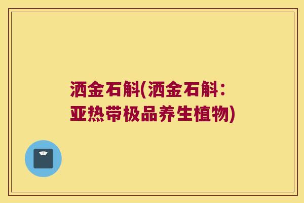 洒金石斛(洒金石斛：亚热带极品养生植物)