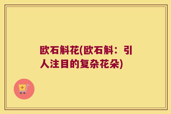 欧石斛花(欧石斛：引人注目的复杂花朵)