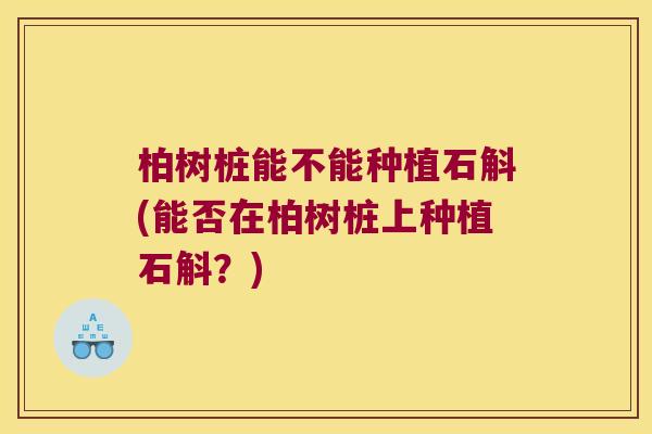 柏树桩能不能种植石斛(能否在柏树桩上种植石斛？)