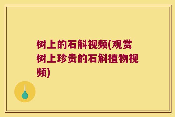 树上的石斛视频(观赏树上珍贵的石斛植物视频)