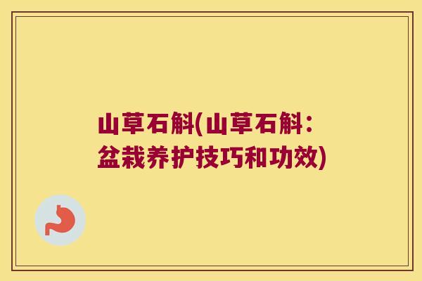 山草石斛(山草石斛：盆栽养护技巧和功效)