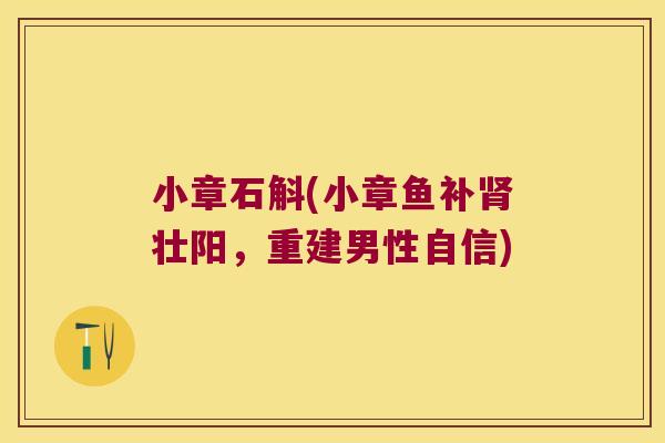 小章石斛(小章鱼补肾壮阳，重建男性自信)