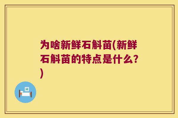 为啥新鲜石斛苗(新鲜石斛苗的特点是什么？)