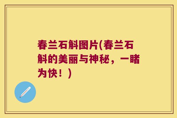 春兰石斛图片(春兰石斛的美丽与神秘，一睹为快！)