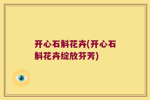 开心石斛花卉(开心石斛花卉绽放芬芳)